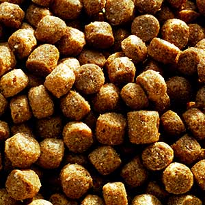 Garvo - 4222 Drijvend Eendenvoer 19, 12.5 KG